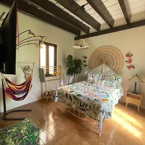  Apartamento The Garden Apartment, The Willow Apartment, & The Tropical At Casa Of Essence In Old
